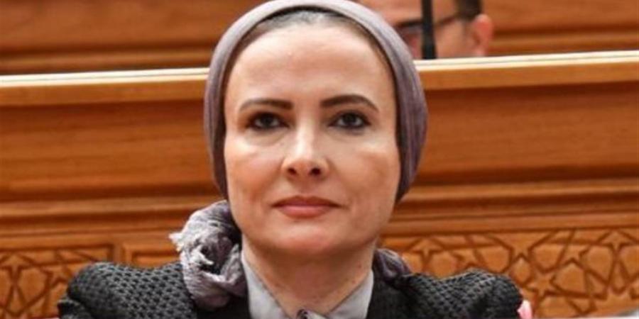 النائبة نشوة عقل تتقدم بطلب مناقشة عامة لتطوير منظومة التعليم العالى