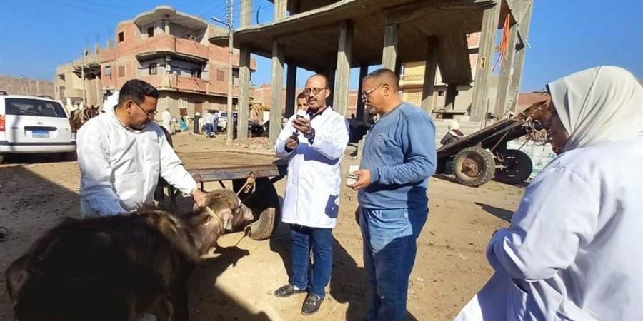 رئيس هيئة الخدمات البيطرية: فحص أكثر من 730 ألف رأس ماشية وطائر خلال فبراير