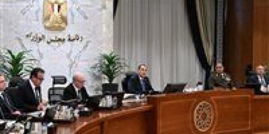 خاص| خبير اقتصادي: إجراءات الحكومة لترشيد الطاقة.. ضرورة لمواجهة تداعيات الحرب دون الإضرار بالصناعة والتجارة