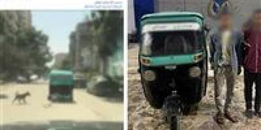 القبض على شخصين لاتهامهما بربط كلب نافق في توك توك من الخلف