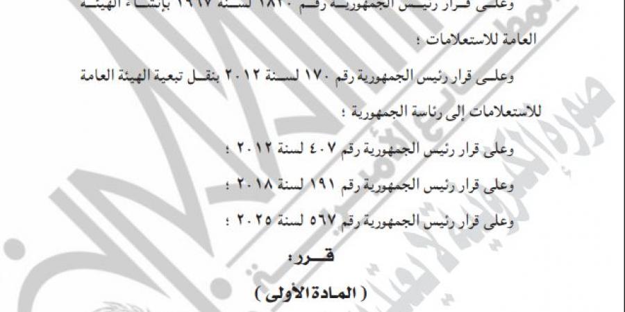 بعد تولي رئاسة الهيئة العامة للاستعلامات..من هو السفير علاء يوسف