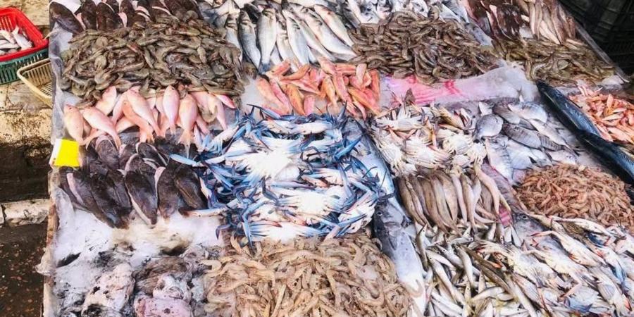 أسعار الأسماك والمأكولات البحرية بأسواق الإسكندرية اليوم الخميس