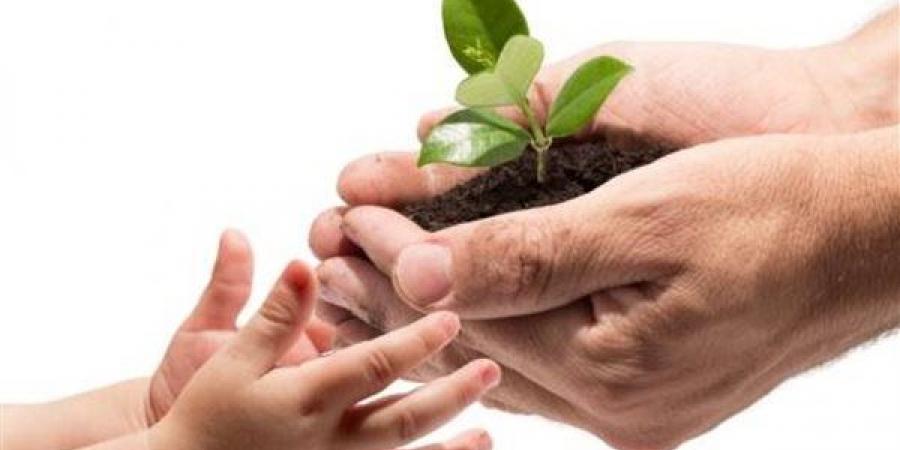 كفالة اليتيم.. متى تنتهي رعاية الضعفاء؟ الإفتاء تجيب وتحسم الجدل