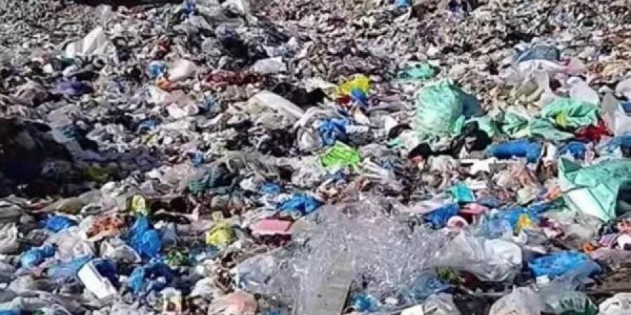 جهود مكثفة بالإسكندرية للقضاء على بؤر المخلفات داخل الكتل السكنية