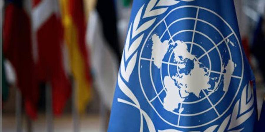 الأمم المتحدة: نؤكد ضرورة التعاون الوثيق مع الجامعة العربية لدعم التعافي في غزة