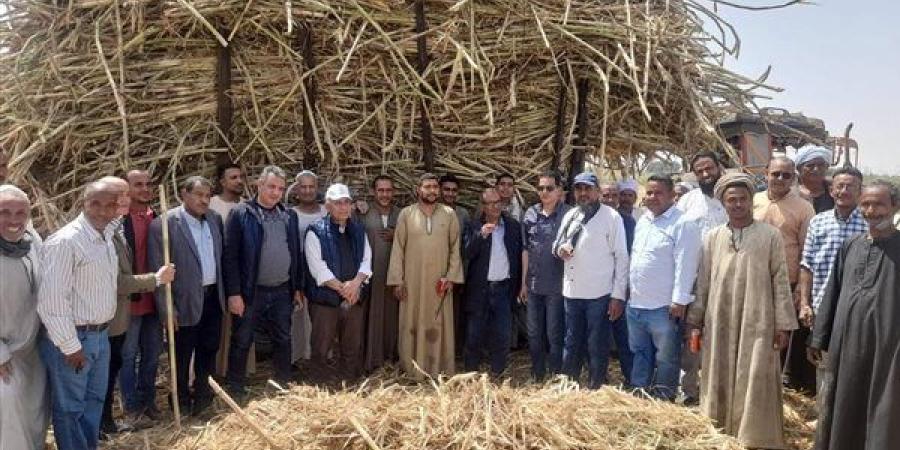 "الزراعة" تتابع برامج إكثار التقاوي في الأقصر