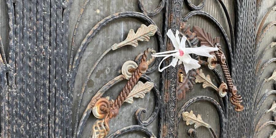 الصحة تغلق 12 مركزًا غير مرخص لعلاج الإدمان بالإسماعيلية لحماية المواطنين