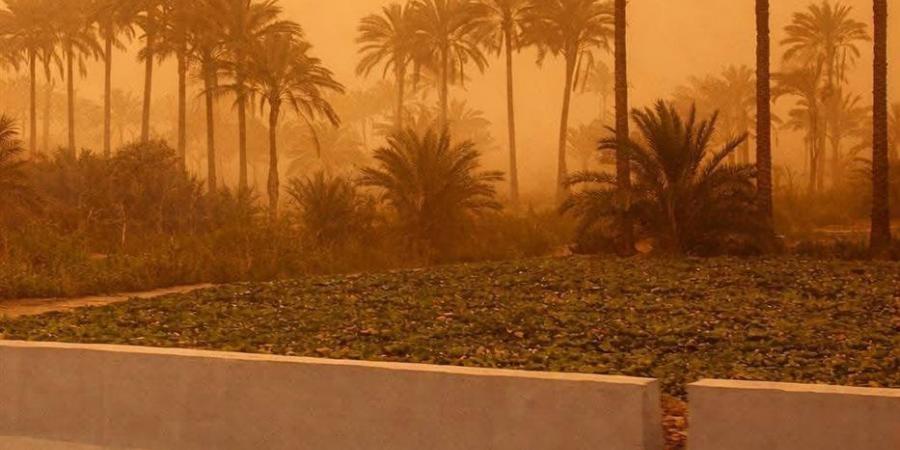 رفع حالة الاستعداد القصوى في دمياط بسبب عاصفة ترابية وموجة الطقس السيئ