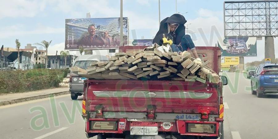 «الأرزقية».. كفاح حتى الموت