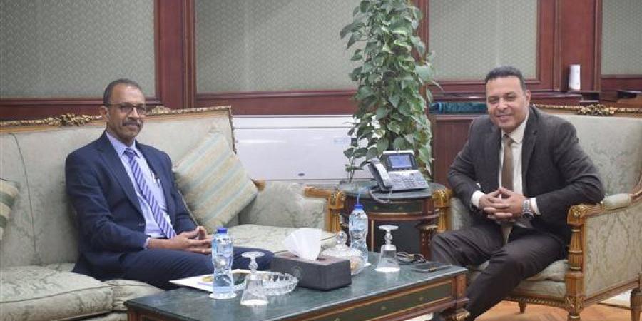 "الإحصاء المصري" يقدم خبراته لنظيره السوداني لدعم مسار التعافي الوطني وإعادة الإعمار