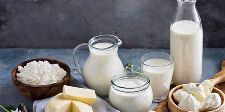 أسعار الألبان ومشتقاتها اليوم الجمعة 3 إبريل 2026