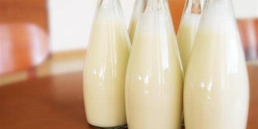 أسعار الألبان والجبن اليوم في أسواق الدقهلية