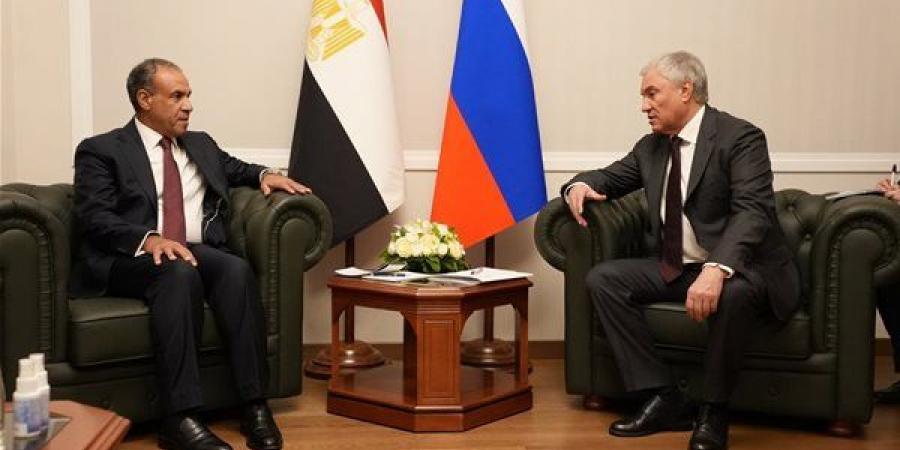 وزير الخارجية يلتقي رئيس مجلس الدوما الروسي