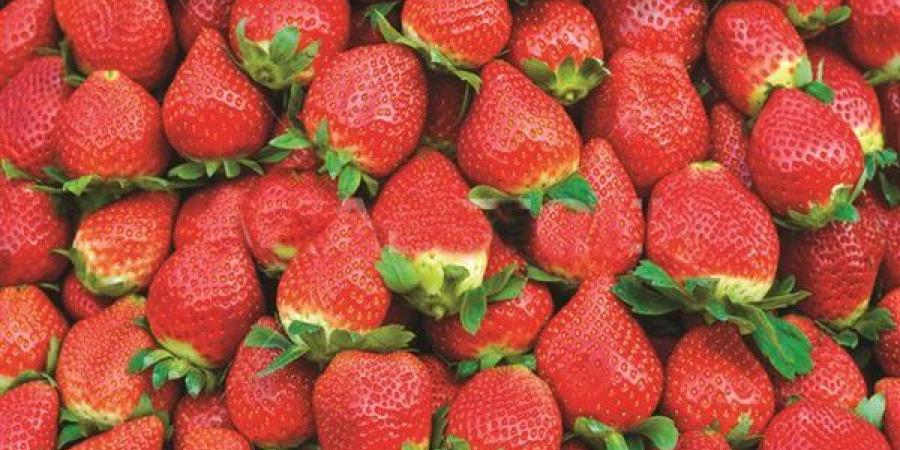 لغز الفراولة