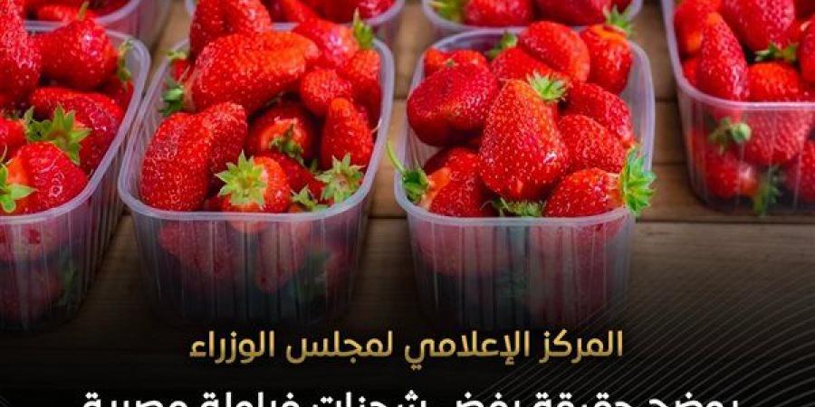 "الوزراء" يوضح حقيقة رفض شحنات فراولة مصرية مصدرة للخارج