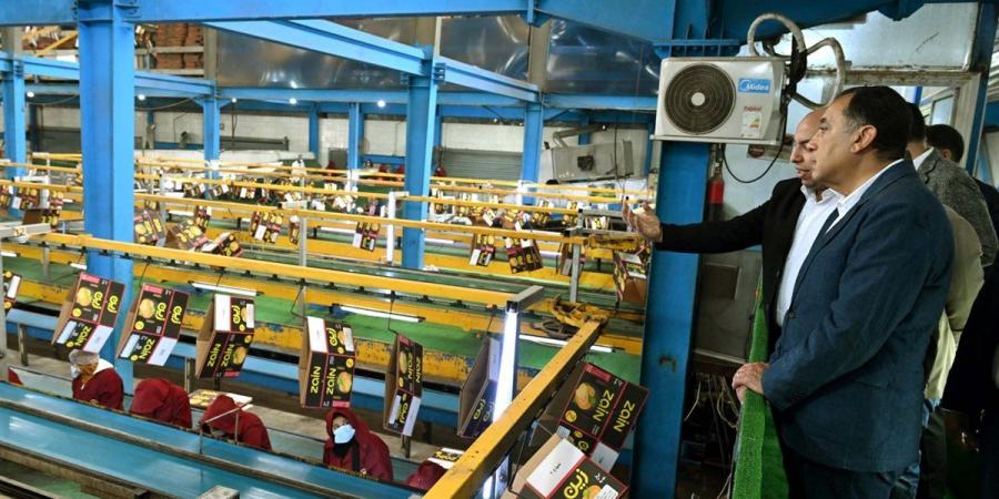 تصدير 75% من الإنتاج.. رئيس الوزراء يتفقد محطة الصواف لتعبئة الموالح (صور)