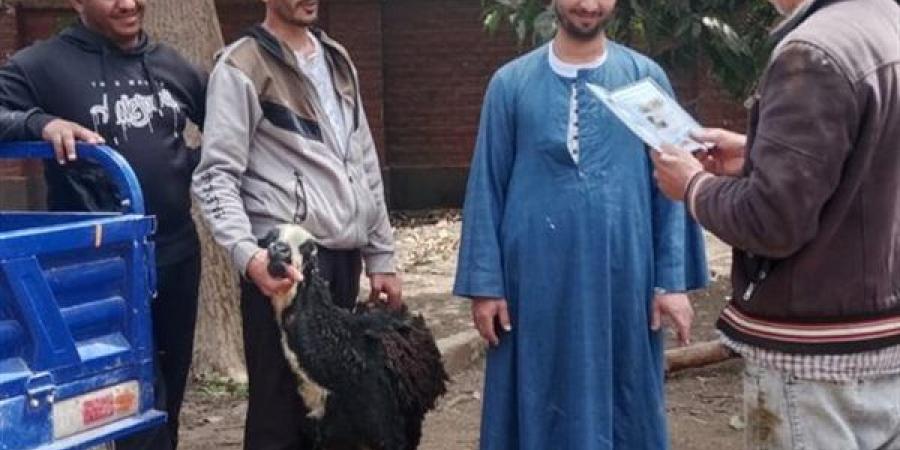تحصين 32 ألف رأس ماشية في الأسبوع الأول للحملة القومية ضد الجلد العقدي بأسيوط