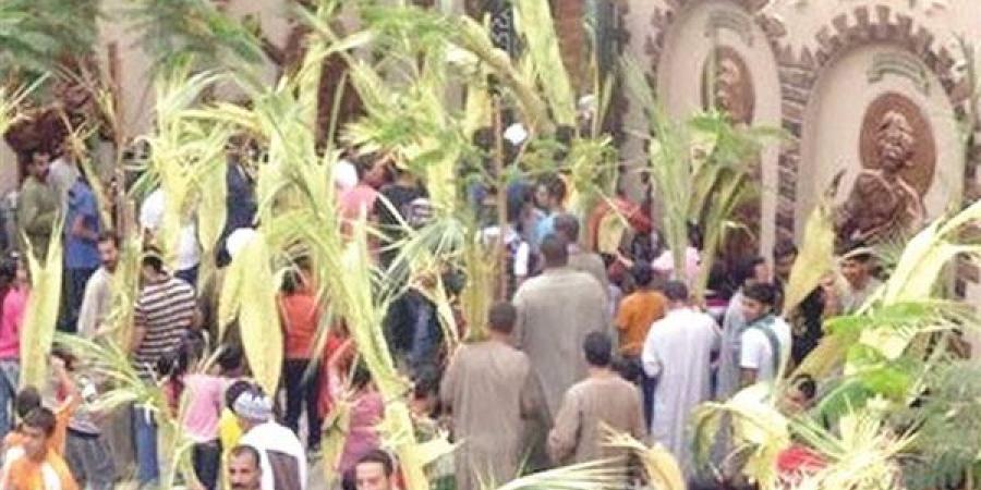 اليوم الكنيسة الأرثوذكسية تحتفل  بأحد بعيد السعف