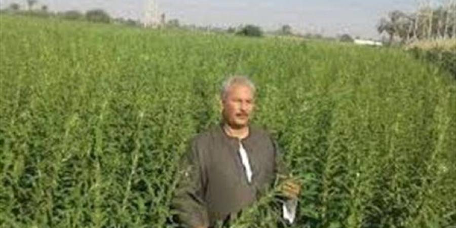 ابو صدام لـ "الوفد": الحرب "الإيرانية الأمريكية" تضرب صادرات الفراولة المصرية