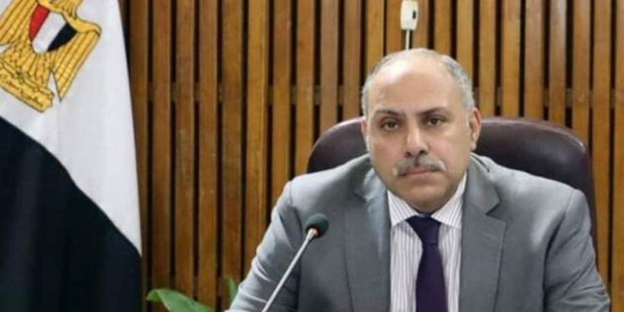 حسن سلامة: مصر رُمانة الميزان في المنطقة