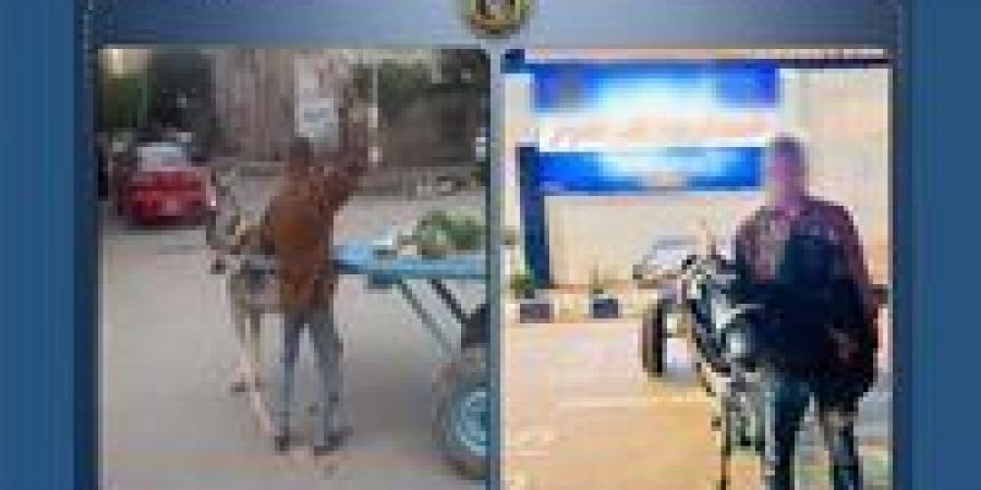 "بائع الخضار الغاضب".. ضرب حماره بالحجارة في البحيرة