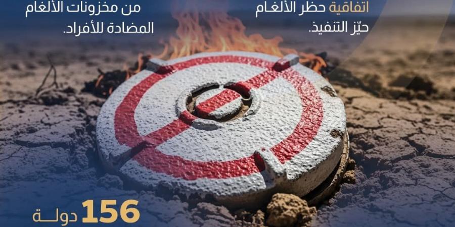 من مخلفات الحرب إلى فرص التنمية.. جهود مصرية في مكافحة الألغام
