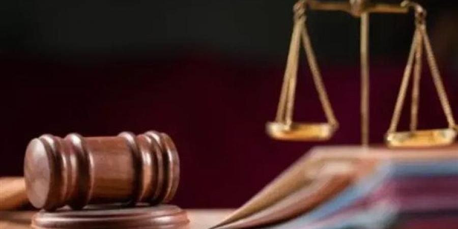 15 إبريل الحكم على نائب سابق فى مجلس النواب.. تفاصيل