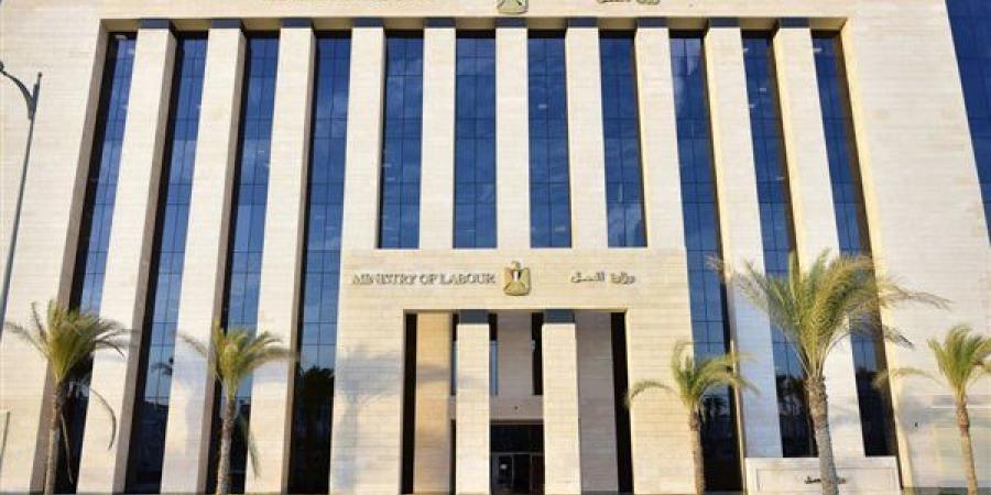 وزارة العمل تُصدر كتابًا دوريًا لمديرياتها بالمحافظات لمتابعة تطبيق العمل عن بُعد