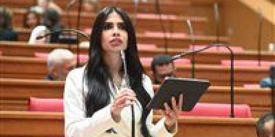 النائبة هايدي المغازي تتقدم بطلب إحاطة بشأن أزمات الأحوال الشخصية للمصريين بالخارج