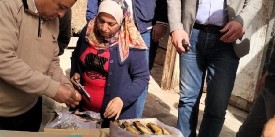 ضبط نصف طن أسماك مملحة فاسدة ومجهولة المصدر بمنوف قبل شم النسيم