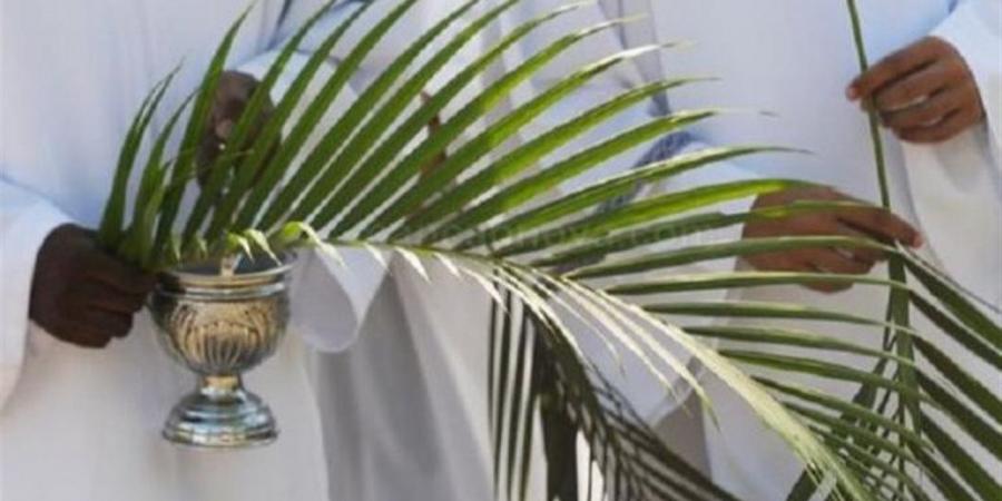 "أوصانا في الأعالي "..أبرز رسائل التهنئة في أحد الشعانين