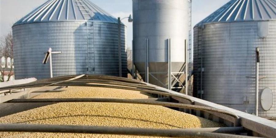 أستاذ سياسات عامة: السياسات الاستباقية حمت مصر من تداعيات أزمة الطاقة العالمية