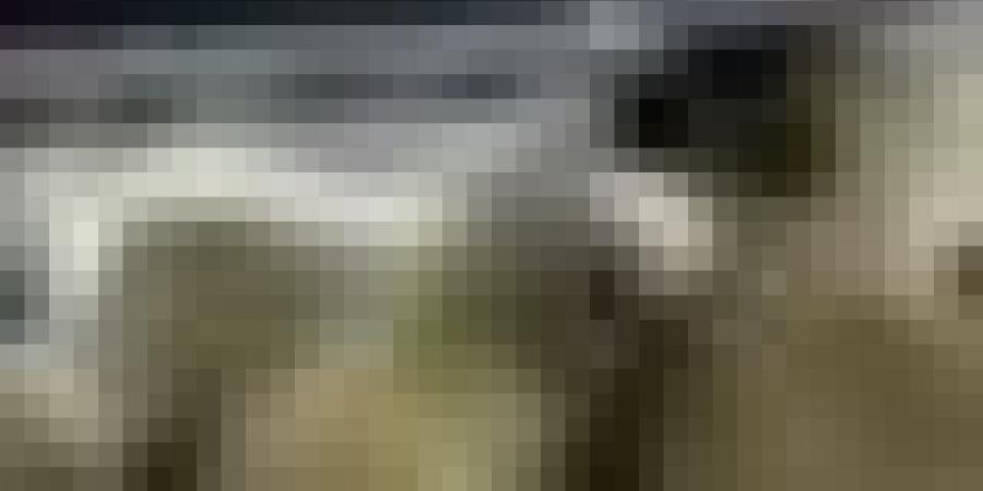 سكيكدة: وصول باخرة محملة بـ9400 رأس غنم قادمة من رومانيا تحسبا لعيد الأضحى