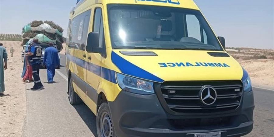 مصرع 3 أشخاص صعقًا بالكهرباء في مزرعة بمركز بلاط بالوادي الجديد