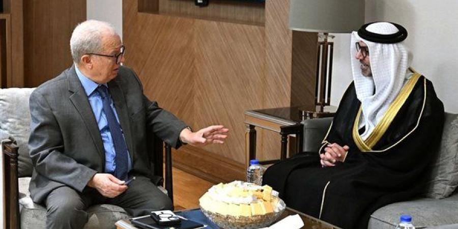 نائب رئيس الوزراء للشئون الاقتصادية يلتقي سفير دولة الإمارات بالقاهرة