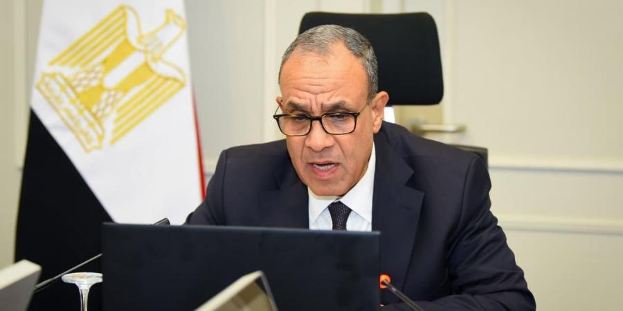 «متابعة أوضاع أبناء الوطن».. وزير الخارجية يشارك فى الاجتماع الافتراضي مع الجالية المصرية بالأردن