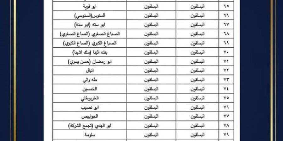 تحديث الحيز العمراني لـ114 عزبة بمركز كفر الدوار