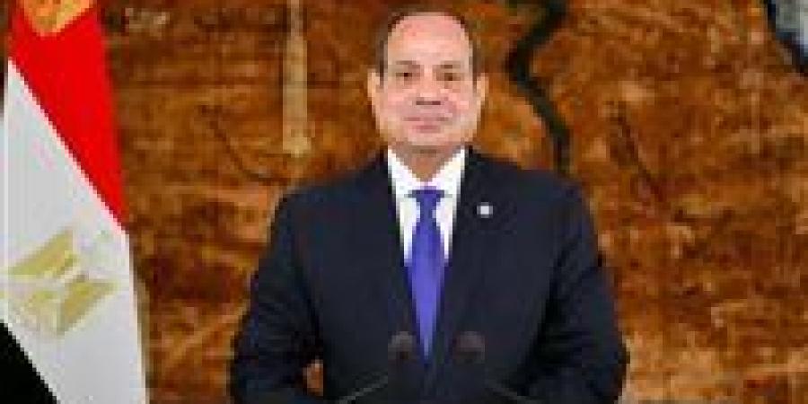 الرئيس السيسى يصدق على تعديل قانون سجل المستوردين لتعزيز مرونة التسجيل والتصالح