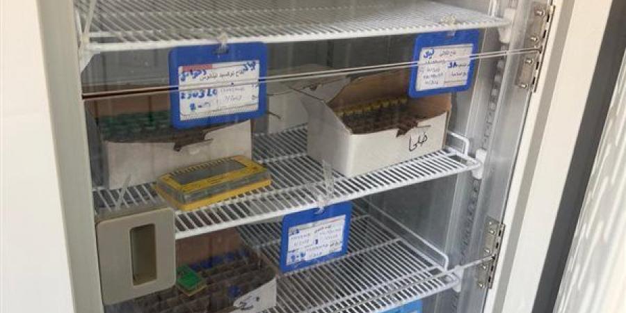 حملات تفتيشية مكثفة لإدارة الصيدلة على 93 منشأة صحية بالدقهلية