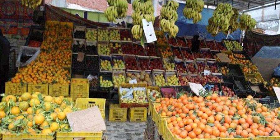 انخفاض أسعار الطماطم 10 جنيهات بأسواق كفر الشيخ