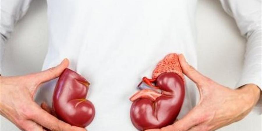 تعرف على علاقة اللثة بأمراض الكلى؟