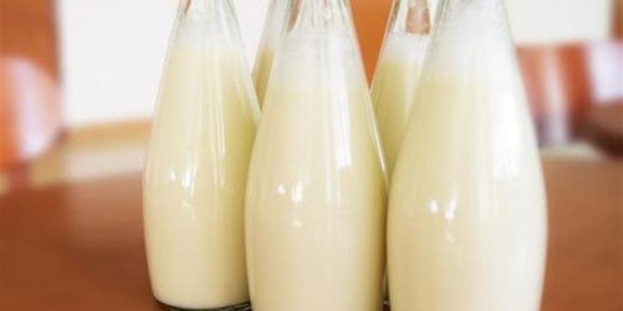 أسعار الألبان ومشتقاتها اليوم الإثنين 6 إبريل 2026 استقرارًا نسبيًا داخل أسواق محافظة الغربية