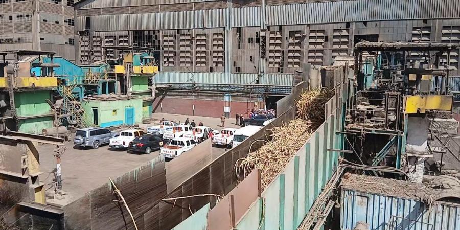 تفاصيل.. سبب تأخر صرف مستحقات المزارعين وموعد صرفها