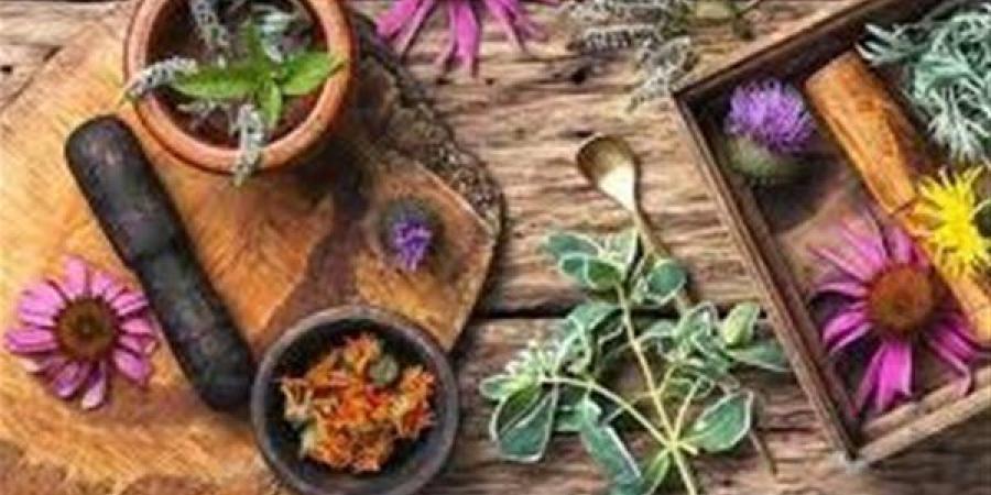 أعشاب طبيعية تساعد في زيادة الطاقة وتعزيز نشاط الجسم