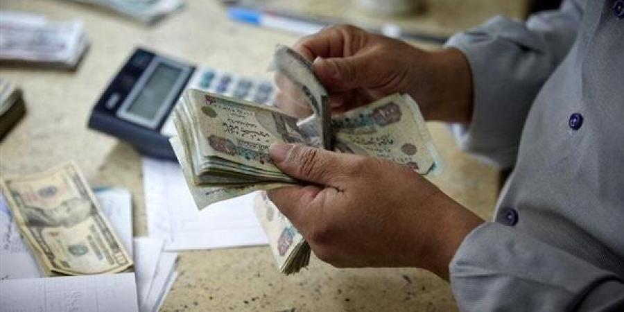 أمين أصحاب المعاشات يكشف لغز تدني المعاشات القديمة.. فيديو