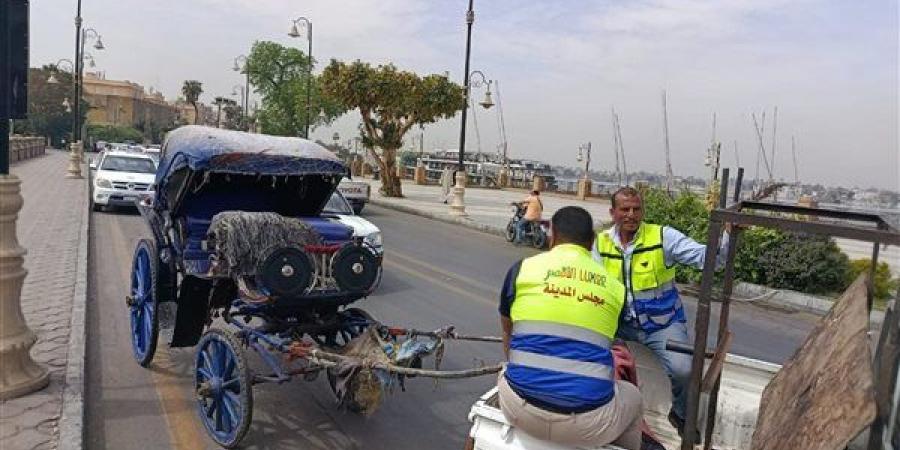 محافظ الأقصر يوجه بالتحفظ على عربة حنطور خالفت الالتزام بــ“حفاضات الخيل”