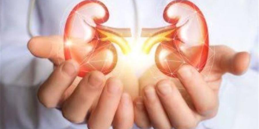 دور الفحوصات الدورية في الوقاية من الأمراض المزمنة