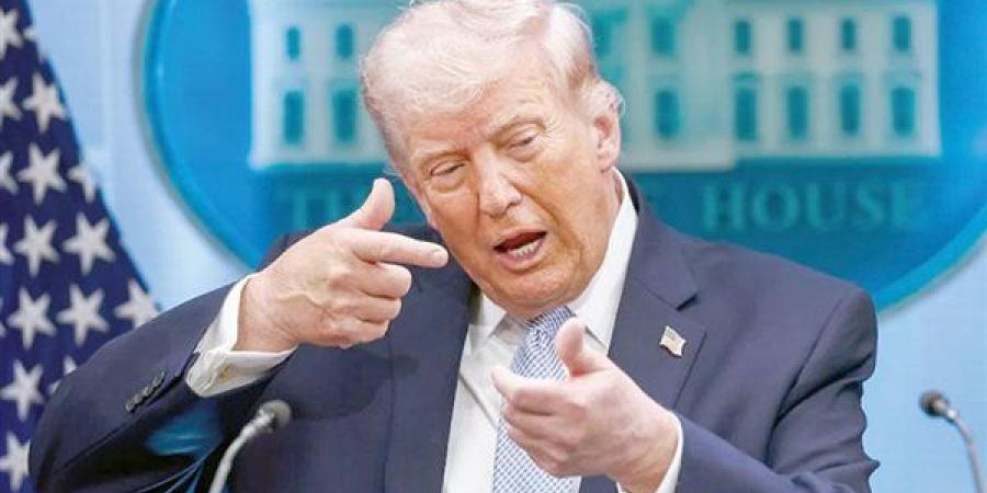 ليلة واحدة لا تكفى