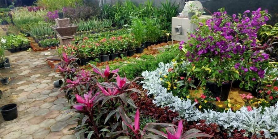 موعد انتهاء فصل الشتاء 2026 في مصر وبداية الربيع