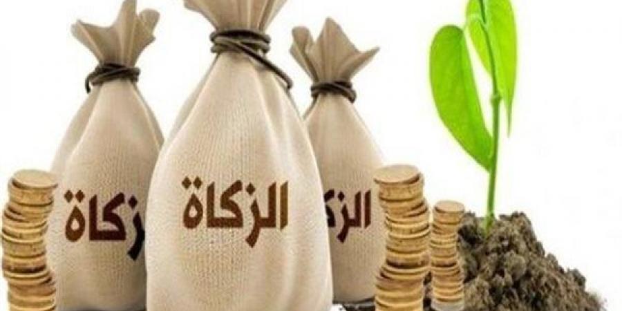 حكم استحقاف الطفل اليتيم للزكاة في الإسلام